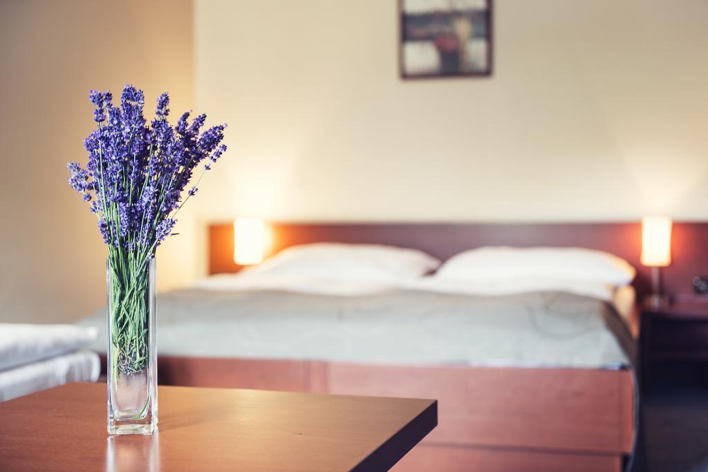 Hotel Skanzen Velehrad Phòng bức ảnh